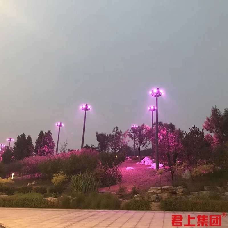 ����ҹ������